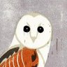 Фото профиля ⓣ Apollo Owl 🅡🍓