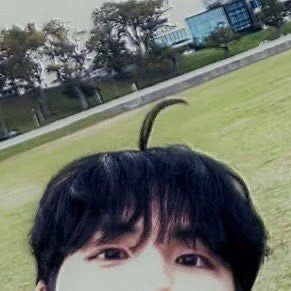 첫 느낌's profile picture