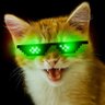 Cheeto's profile picture