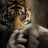 king rtsch's profile picture