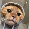 Profilbild von Barzovabeatz