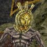 Profilbild von LegendXZeno