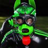 Pup Junkers 🧶🚙 BKK Fetish Ball 2025's profile picture