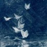 bluee | ENHYPEN IS SEVEN 的头像