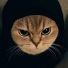 نوزومی's profile picture