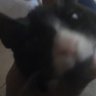Profilbild von snake.z