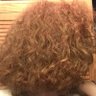 Profilbild von leonina pellio