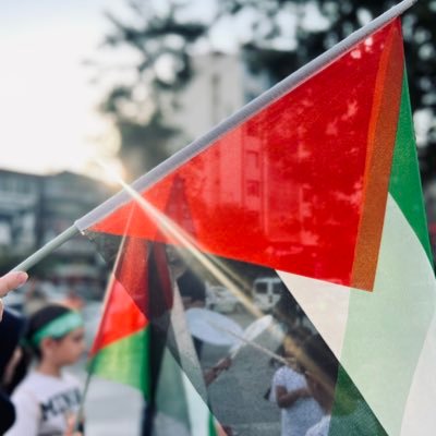Beyza Kaya🇵🇸's profile picture