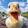 Фото профиля Zevi