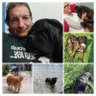 stefano's profile picture