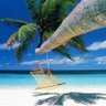 Фото профиля Bluesummer