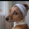 Profilbild von JJ