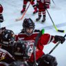 SlapshotDman's profile picture