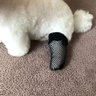 Profilbild von 沫小沫
