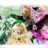 shinshu profil fotoğrafı