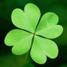 Фото профиля Irish Drew 🍀
