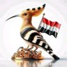 الصقررررر ⓵'s profile picture