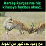 Profilbild von Yunus Emre