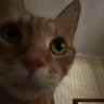 n profil fotoğrafı