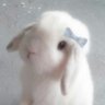 Profilbild von Kikiyo^-^