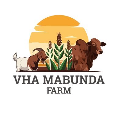 vha_mo's profile picture