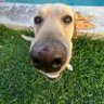 Фото профиля AYRTON COSTA FAN ACCOUNT