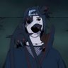 cooch's profile picture