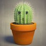 Фото профиля Nagi’s second cactus