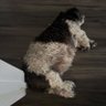 John Tango profil fotoğrafı