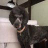 a.yumi profil fotoğrafı