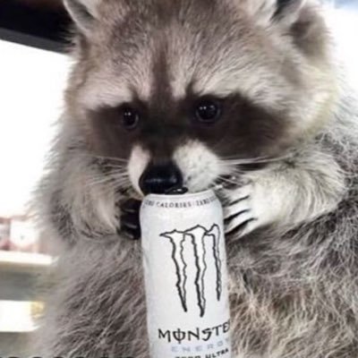 punishedkoon's profile picture
