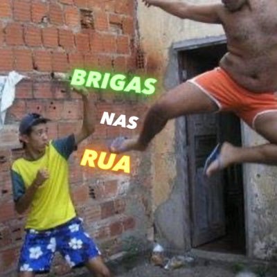 briganasrua's profile picture