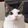 Nel's profile picture