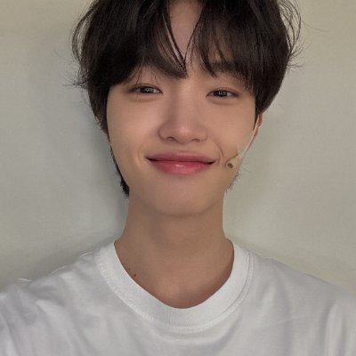 donguri_ppyong's profile picture
