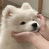 𝒏𝒋𝒕 • ⋆☀︎☽˚.⋆《 ft.แม่น้องดีน อะฮิๆ 😁 》 的头像