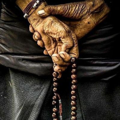anirudhnagar1's profile picture