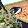 çalıkuşu 💫 profil fotoğrafı