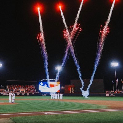 TigerBSBCamp's profile picture