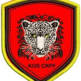 KOSCRPF's profile picture