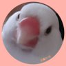 Profilbild von ことり˓˓ (̨̡ *˙꒳˙* )̧̢ ˒˒❀🍙🍊🇯🇵❀