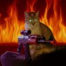 Piort Jaril's profile picture