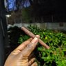 Profilbild von Bitch_Blunt💨