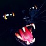Profilbild von Black Cats Capital