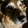 Profilbild von Miguel