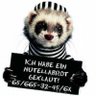 GDR115's profile picture