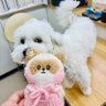 Profilbild von さなちゃんぐり