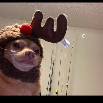 94's profile picture