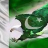 Profilbild von Nadeem Tarar
