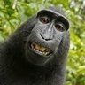 chardme profil fotoğrafı