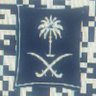 صالح 🇸🇦 profil fotoğrafı